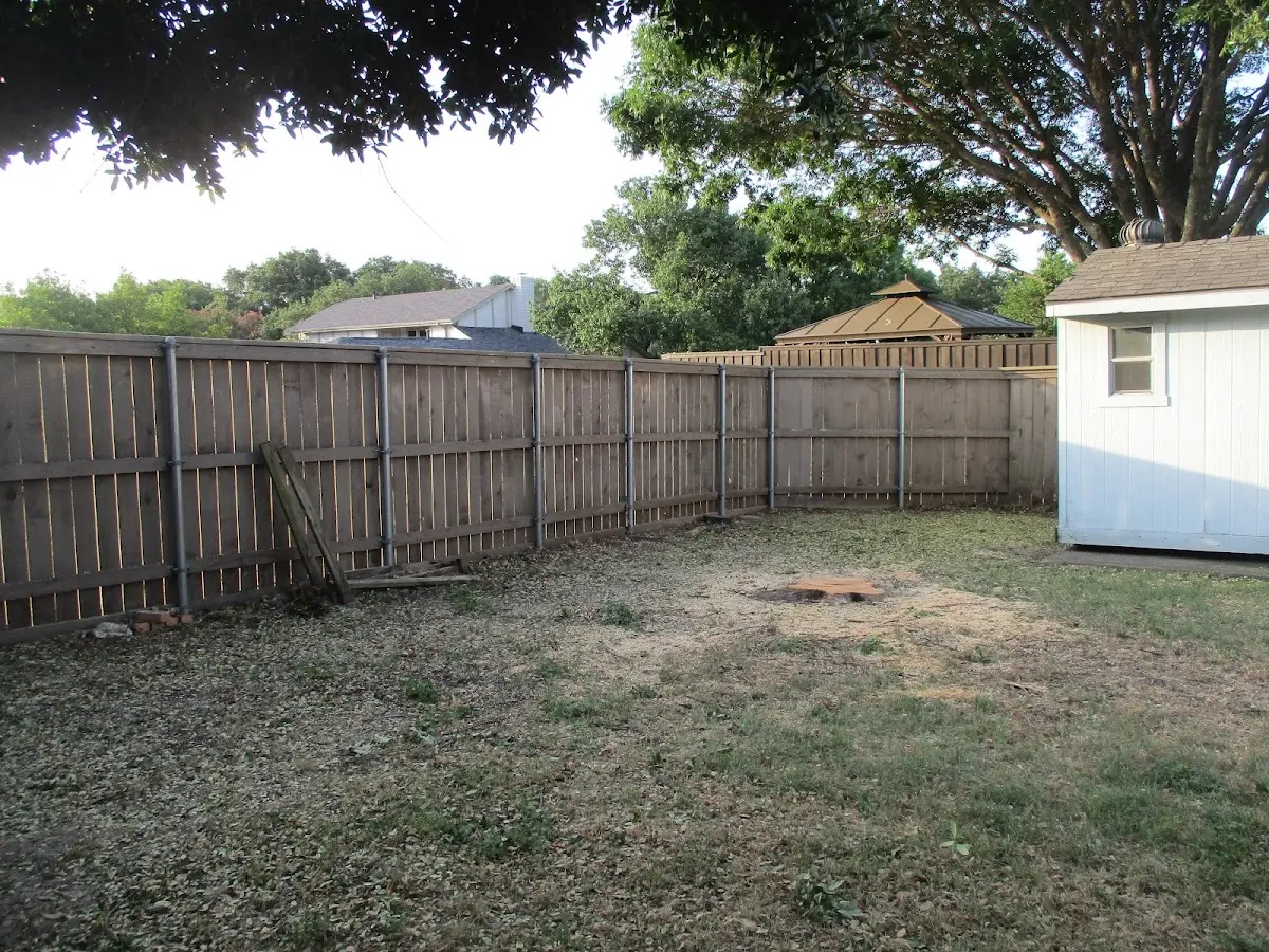 Cleared yard after professional tree removal in Edinburg